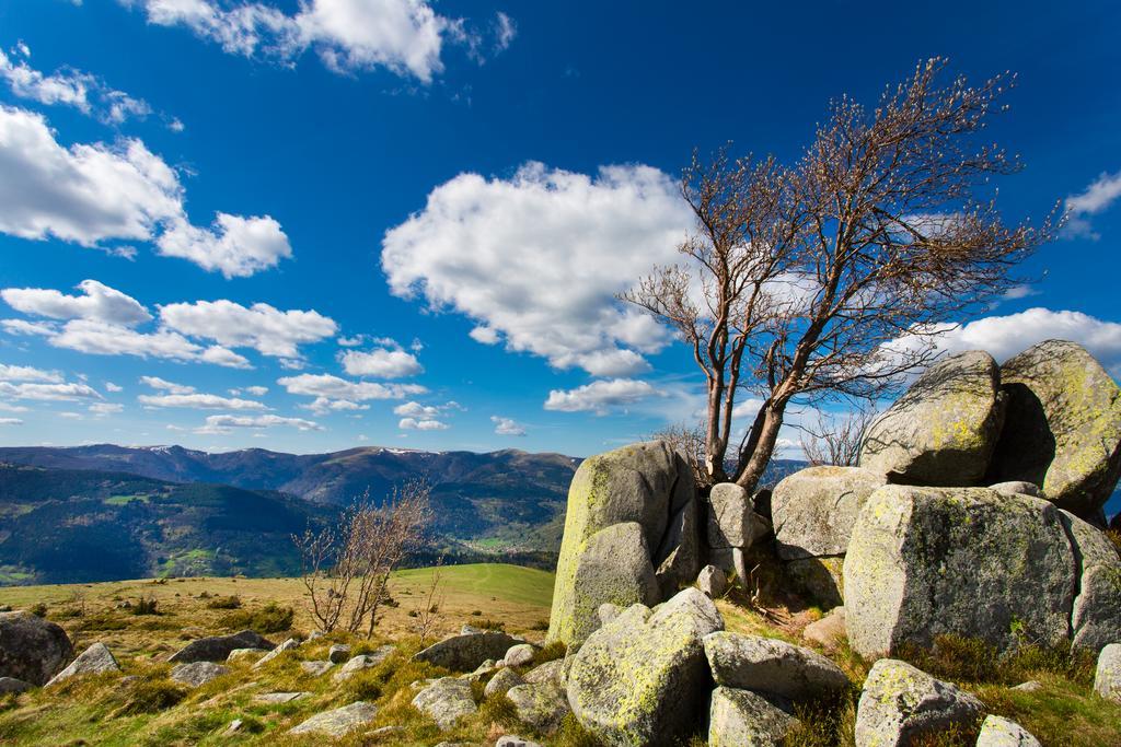 Gite Chez Mimie Breitenbach-Haut-Rhin Zewnętrze zdjęcie