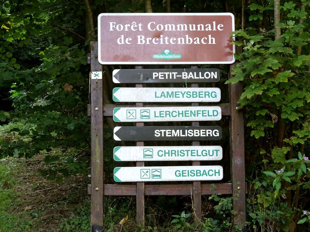 Gite Chez Mimie Breitenbach-Haut-Rhin Zewnętrze zdjęcie