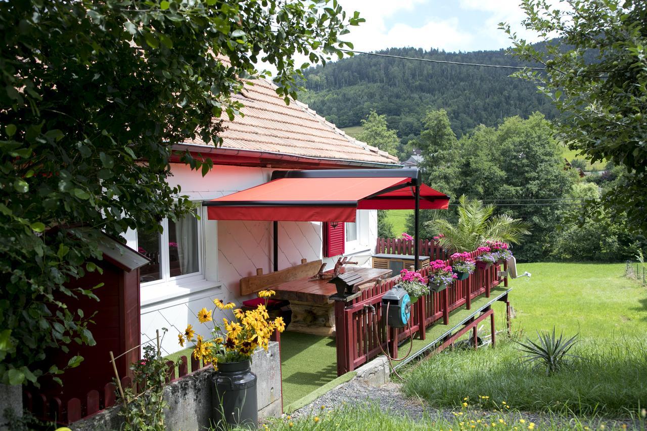 Gite Chez Mimie Breitenbach-Haut-Rhin Zewnętrze zdjęcie