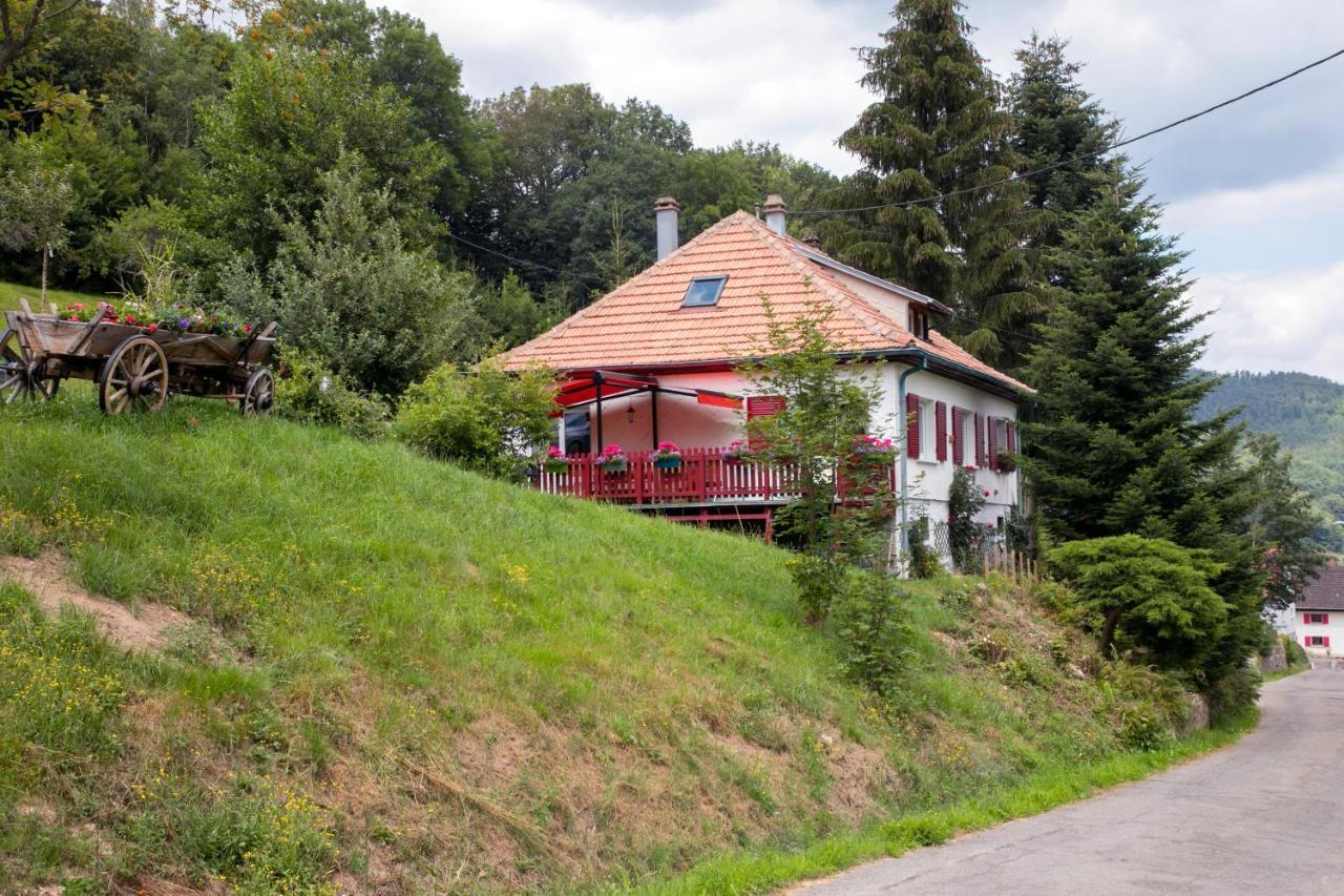 Gite Chez Mimie Breitenbach-Haut-Rhin Zewnętrze zdjęcie