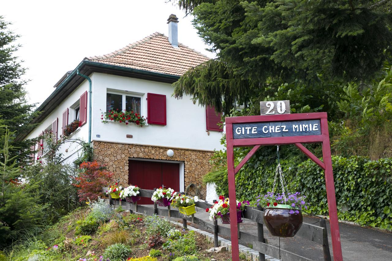 Gite Chez Mimie Breitenbach-Haut-Rhin Zewnętrze zdjęcie