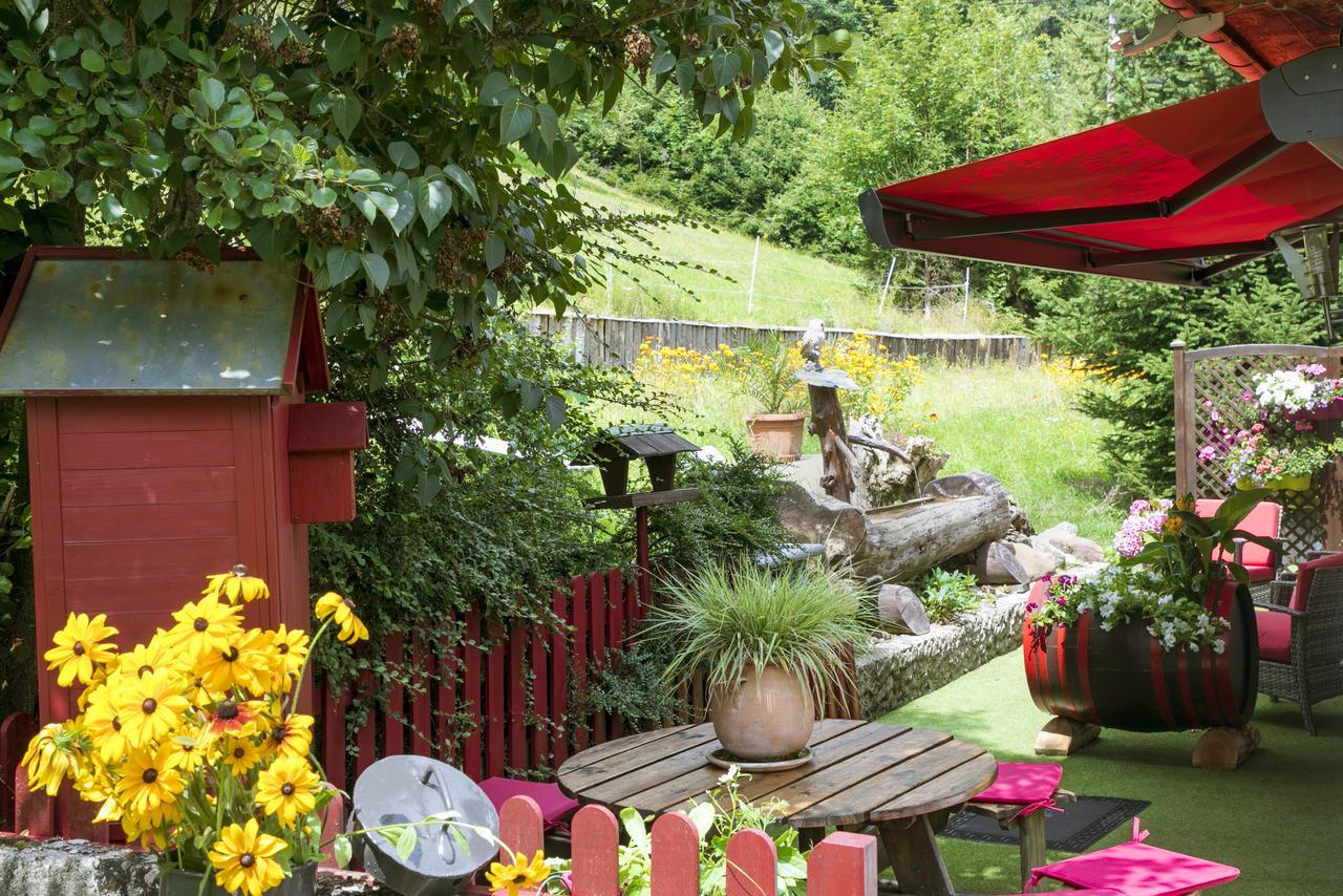 Gite Chez Mimie Breitenbach-Haut-Rhin Zewnętrze zdjęcie
