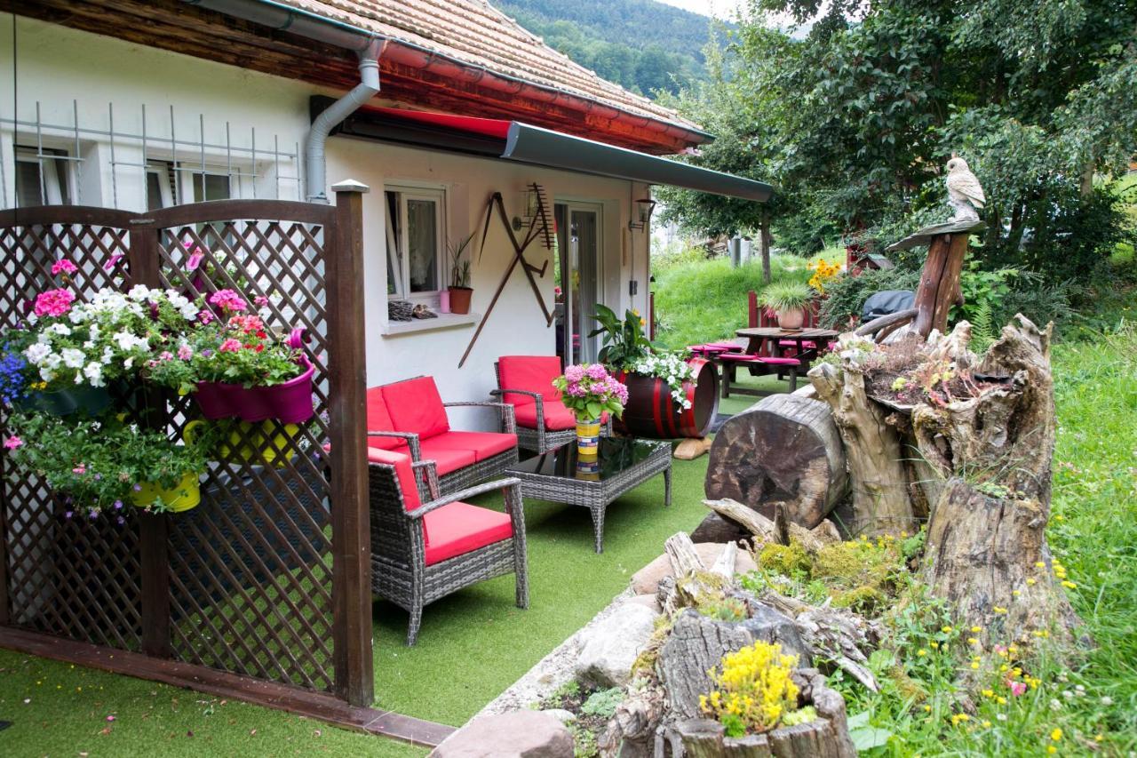 Gite Chez Mimie Breitenbach-Haut-Rhin Zewnętrze zdjęcie